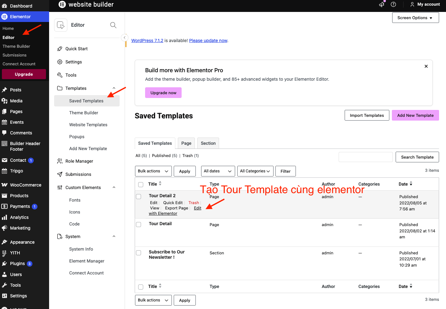 Elementor template setup step 4